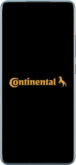 desarrollo web para continental